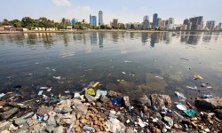 Suspendisse arcu nisl